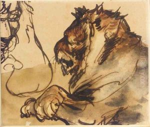 Croquis de lions