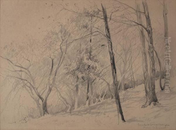 Forest Landscape - view 1
