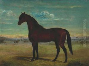 Horse In Landscape by Frederick, Woodhouse Snr.