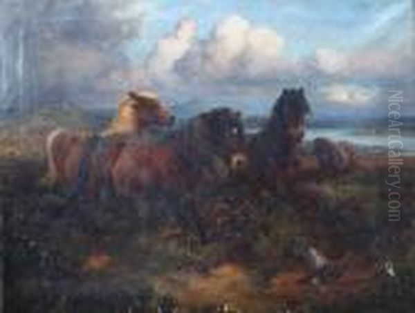 Shetland Ponies In A Landscape With Grouse In Foreground And Loch In Background - view 1