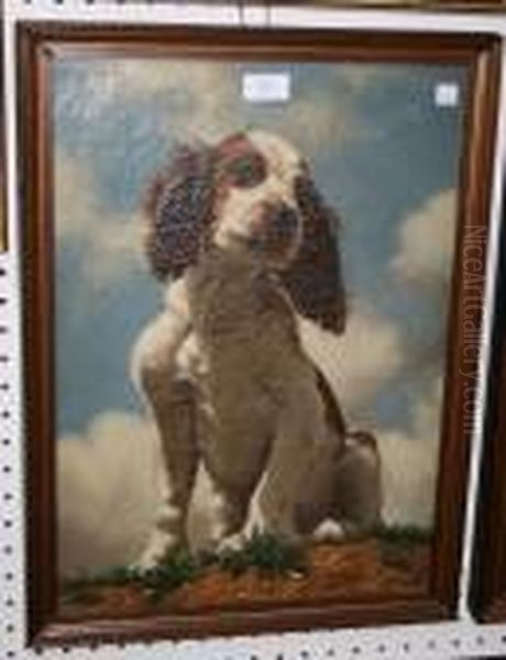 Study Of A Seated Springer Spaniel - view 1