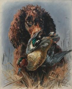 Head Of An Irish Water Spaniel And Mallard Head Of An Irish Water Spaniel And Mallard