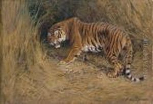 A Tiger On The Alert by William Arnold Woodhouse