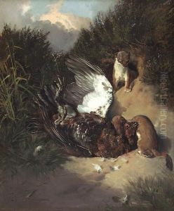 Stoat And Grouse
