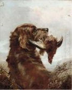 A Gun Dog With A Grouse