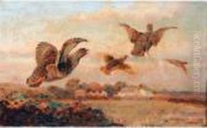 Grouse In Flight Grouse In Flight