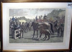 In The Paddock - A Sale Of Brood Mares And Their Foales