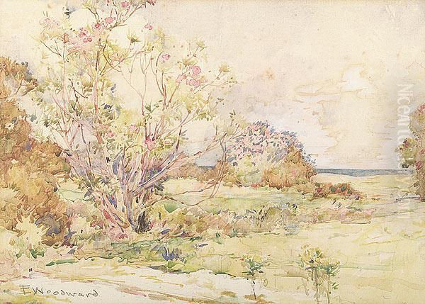 Spring Landscape Along The Gulf Coast, Biloxi - view 1