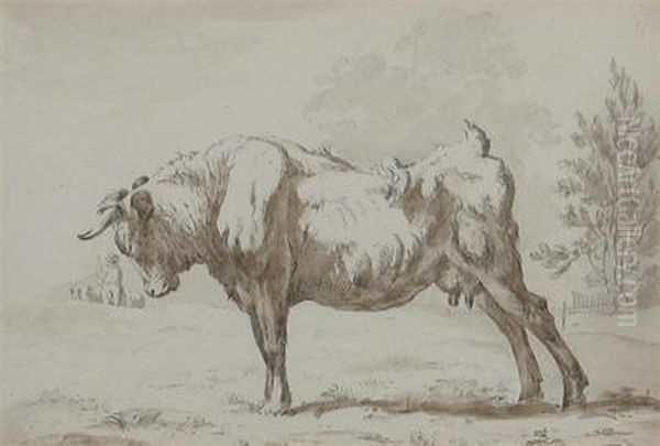 Studies Of Cows - view 1