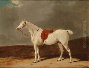 Portrait Of A Grey Hunter In A Landscape