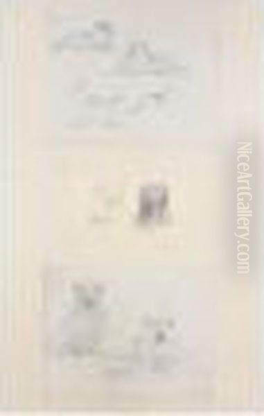 Album Of Sketches Including Animal Studies - view 1