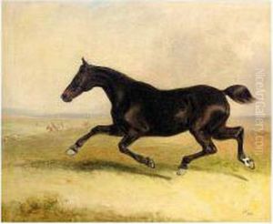 The Runaway Horse