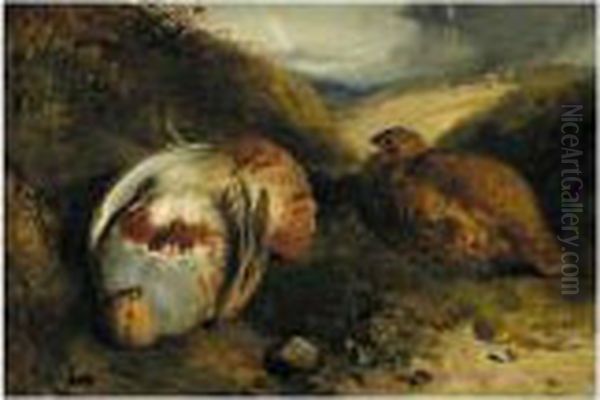Partridges - view 1