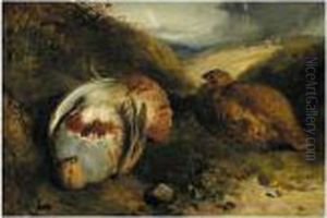Partridges by Thomas Woodward