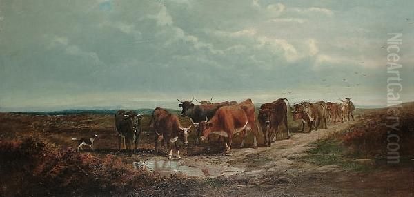 Cattle At A Pool, A Dog Nearby - view 1