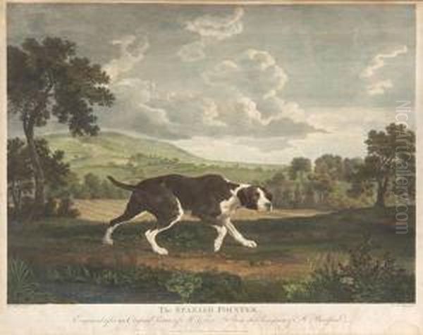 The Spanish Pointer - view 1