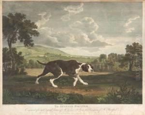 The Spanish Pointer by William Woollett