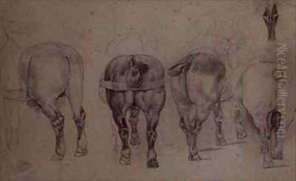Harnessed horses - view 1