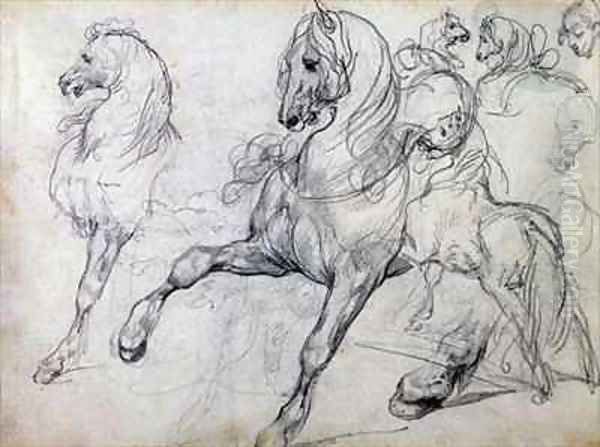 Horses - view 1