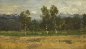 Birken In Sommerlicher
Voralpenlandschaft. by Josef Wopfner