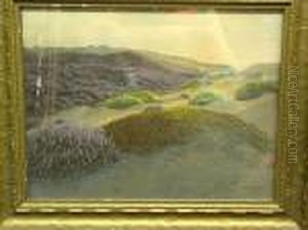California Landscape - view 1