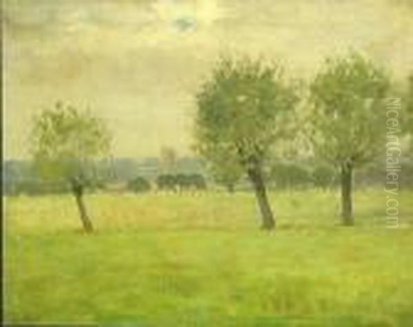 Green Meadow - view 1