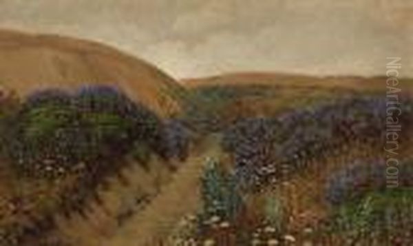 Over The Dunes To The Sea - view 1