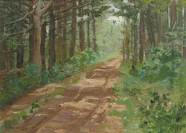 A Tranquil Path - view 1