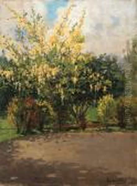 Golden Shower Tree
Signed - view 1