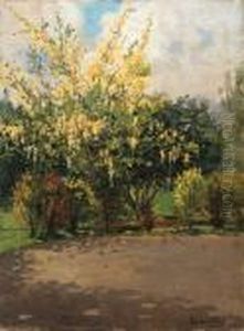 Golden Shower Tree
Signed by Theodore Wores