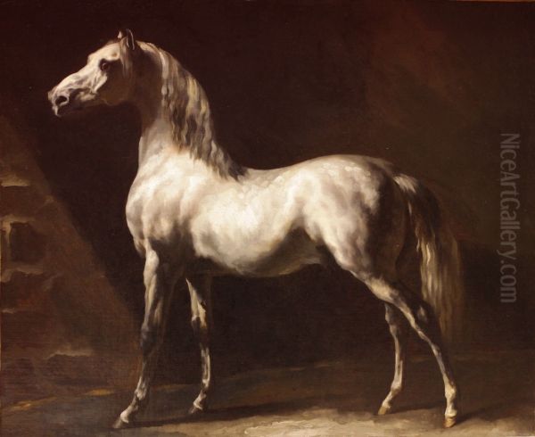 Study of a Dapple Grey - view 1