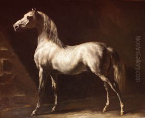 Study of a Dapple Grey