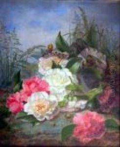 Still Life Of Camelias, Black Lace And Grasses