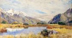 Pool Near Hermitage, Mt Cook