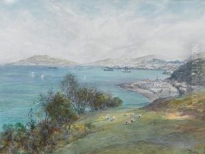 View Over Wellington Harbour, New Zealand by Charles Nathaniel Worsley