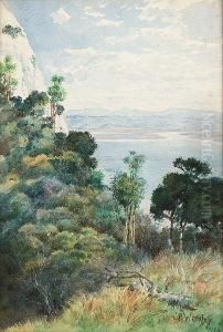 Young Nicks Head, Poverty Bay, Gisborne, New Zealand by Charles Nathaniel Worsley