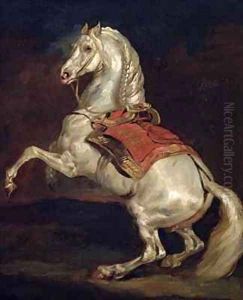 Napoleons Stallion Tamerlan