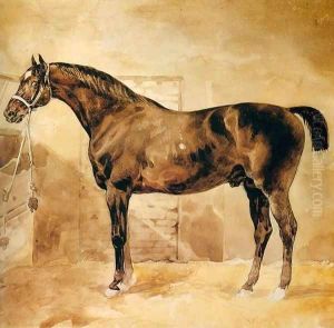 English Horse in Stable