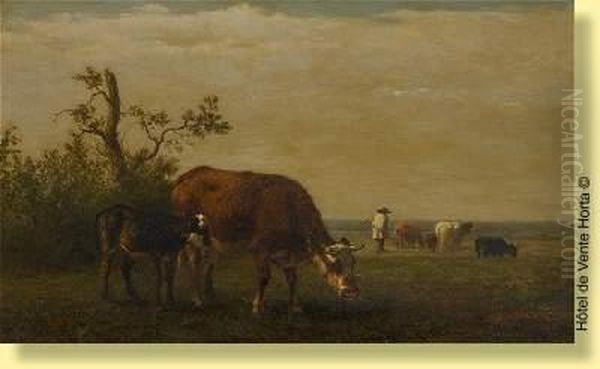 Vaches Dans Un Pre - view 1