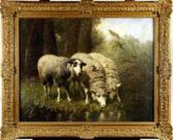 Les Moutons - view 1