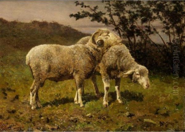Sheep Grazing - view 1