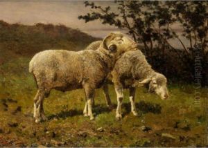 Sheep Grazing Sheep Grazing