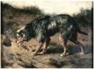Chien Dans Un Paysage Chien Dans Un Paysage