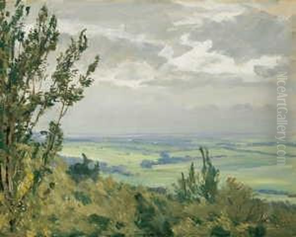 Vortaunuslandschaft. Signiert
Und Datiert Unten Rechts: F. Wucherer/2...24. Ol Auf Karton. H 46; B 58
Cm. Verso Bildtitel Und Adresse Des Kunstlers In Kronberg. - view 1