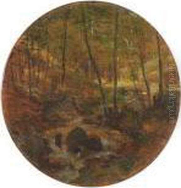 Sonnendurchfluteter Wald Mit Bachlauf - view 1