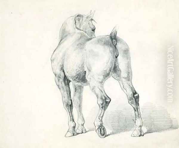 A carriage horse, seen from behind - view 1