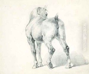 A carriage horse, seen from behind