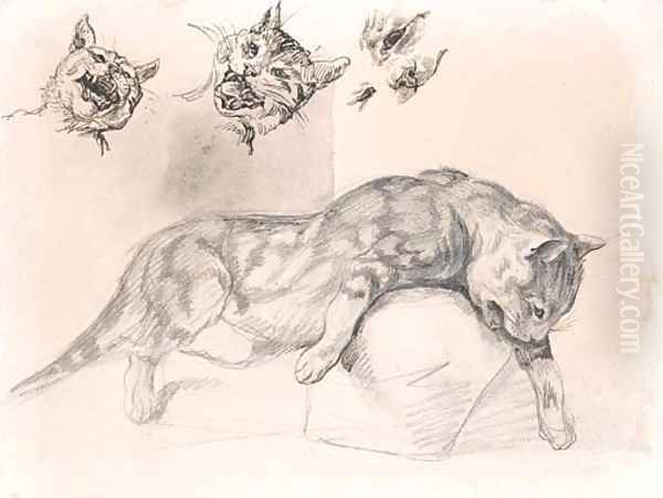 A cat, and three subsidiary studies of its head - view 1