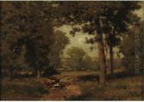 Brook In The Woods - view 1