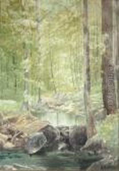 Forest Brook - view 1